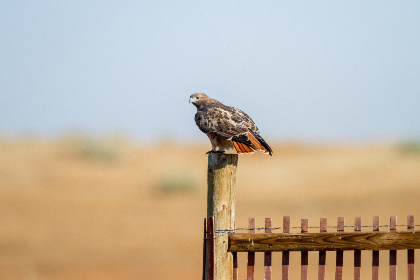 男生和女生搞基的视频
