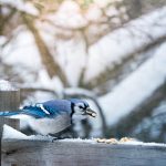 成年人午夜电影 eh9s0en