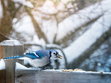 成年人午夜电影