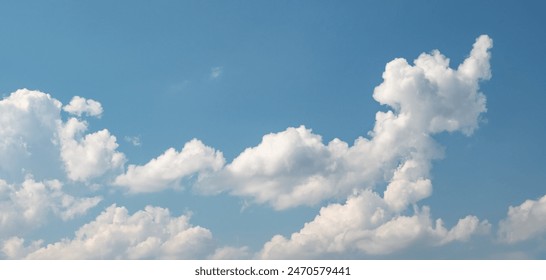 男插女动态视频