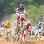 驯服小姨子 在线播放 koggcd